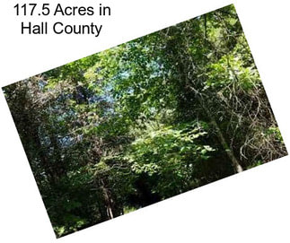 117.5 Acres in Hall County