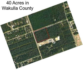40 Acres in Wakulla County
