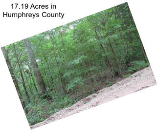 17.19 Acres in Humphreys County