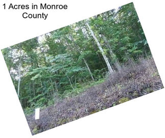 1 Acres in Monroe County