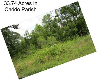 33.74 Acres in Caddo Parish