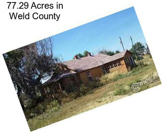 77.29 Acres in Weld County