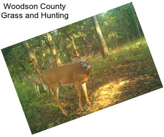 Woodson County Grass and Hunting