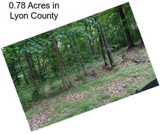 0.78 Acres in Lyon County