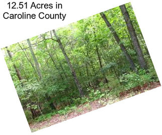12.51 Acres in Caroline County