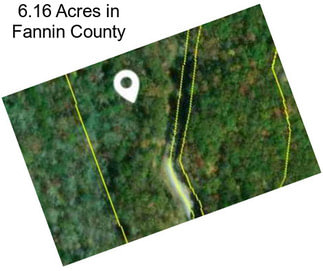 6.16 Acres in Fannin County
