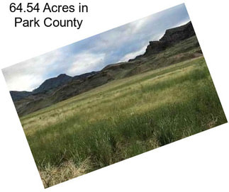 64.54 Acres in Park County