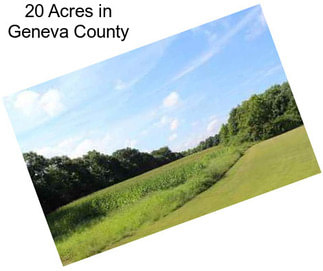 20 Acres in Geneva County