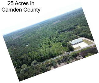 25 Acres in Camden County