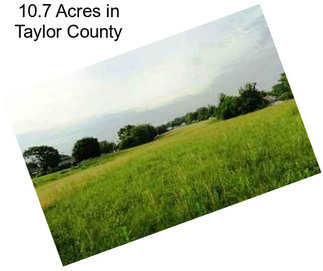 10.7 Acres in Taylor County
