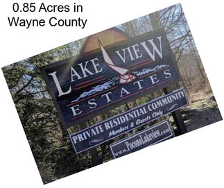 0.85 Acres in Wayne County