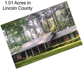1.01 Acres in Lincoln County