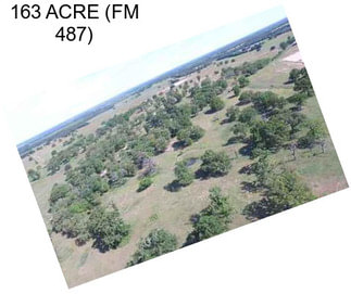 163 ACRE (FM 487)