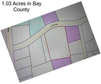 1.03 Acres in Bay County