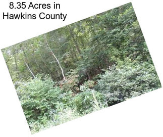 8.35 Acres in Hawkins County