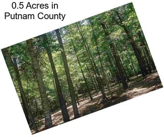 0.5 Acres in Putnam County