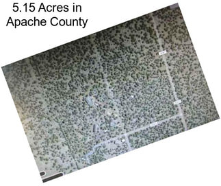 5.15 Acres in Apache County