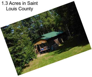 1.3 Acres in Saint Louis County