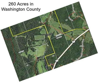 260 Acres in Washington County