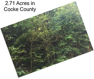 2.71 Acres in Cocke County