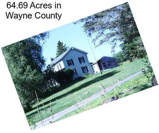 64.69 Acres in Wayne County