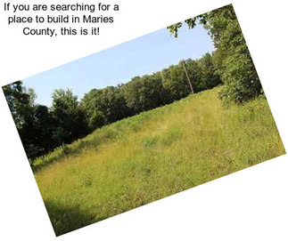 If you are searching for a place to build in Maries County, this is it!