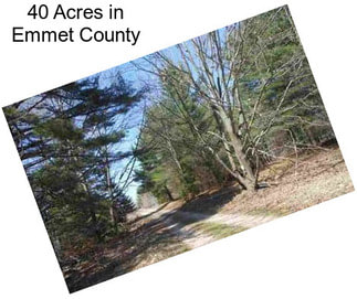 40 Acres in Emmet County