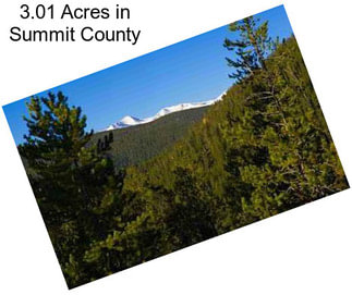 3.01 Acres in Summit County