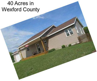 40 Acres in Wexford County