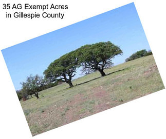 35 AG Exempt Acres in Gillespie County
