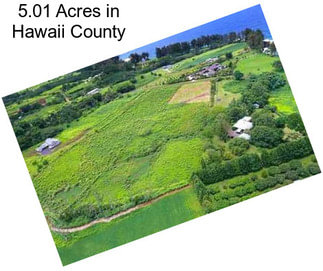 5.01 Acres in Hawaii County