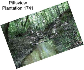 Pittsview Plantation 1741