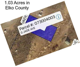 1.03 Acres in Elko County