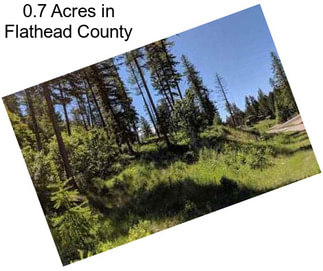 0.7 Acres in Flathead County
