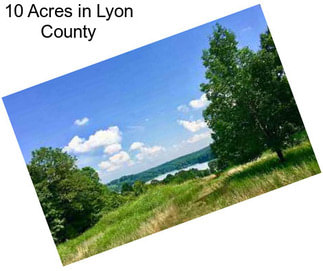 10 Acres in Lyon County
