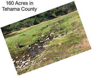 160 Acres in Tehama County