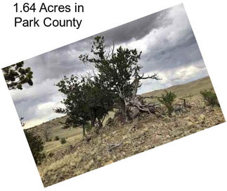 1.64 Acres in Park County