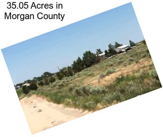 35.05 Acres in Morgan County