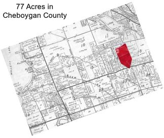 77 Acres in Cheboygan County