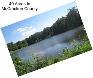40 Acres in McCracken County