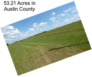 53.21 Acres in Austin County