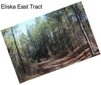 Eliska East Tract