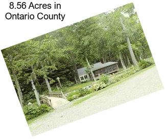 8.56 Acres in Ontario County
