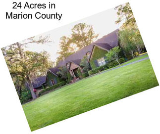 24 Acres in Marion County