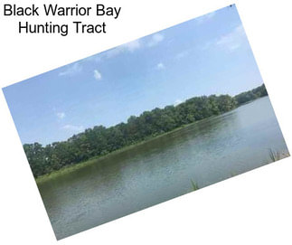 Black Warrior Bay Hunting Tract