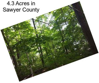 4.3 Acres in Sawyer County