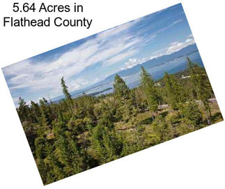 5.64 Acres in Flathead County