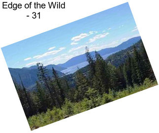 Edge of the Wild - 31