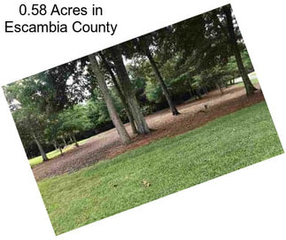 0.58 Acres in Escambia County