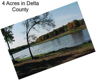 4 Acres in Delta County